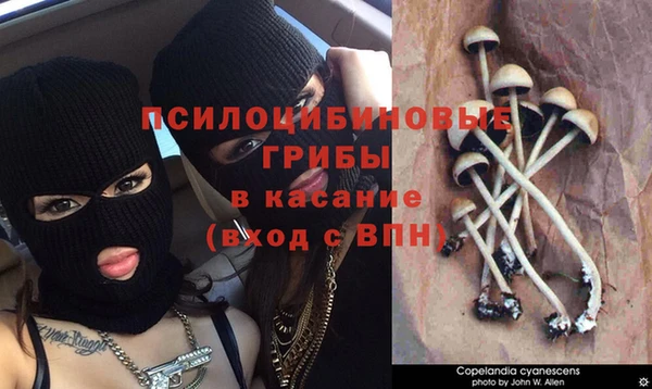 ешки Елизово