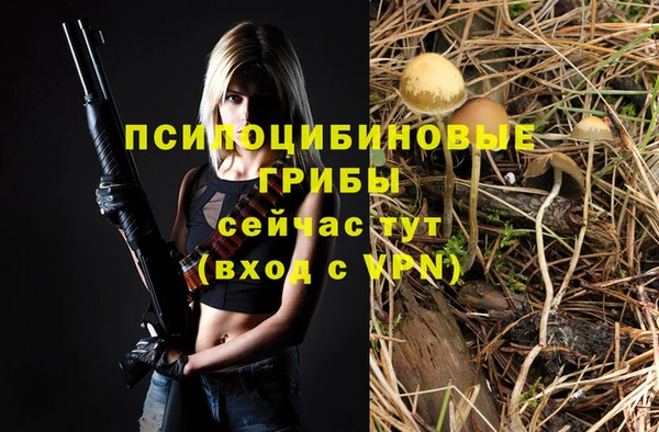 синтетический гашиш Дмитровск