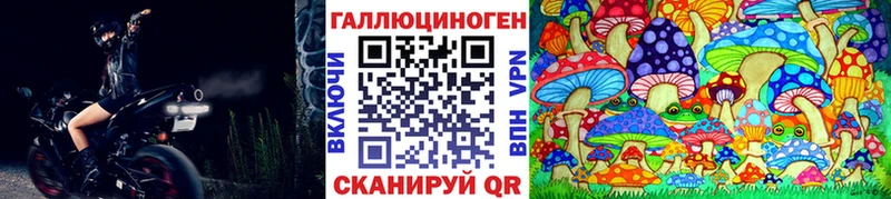 Купить закладки Порхов Псилоцибиновые грибы ЛСД